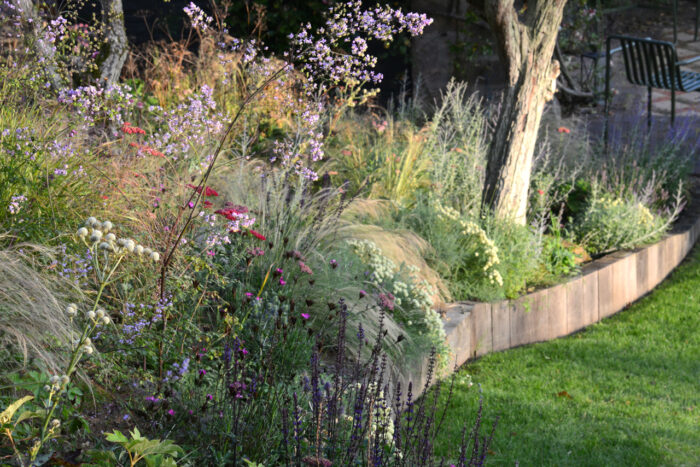 Coastal garden designed by Semple Begg Garden Design