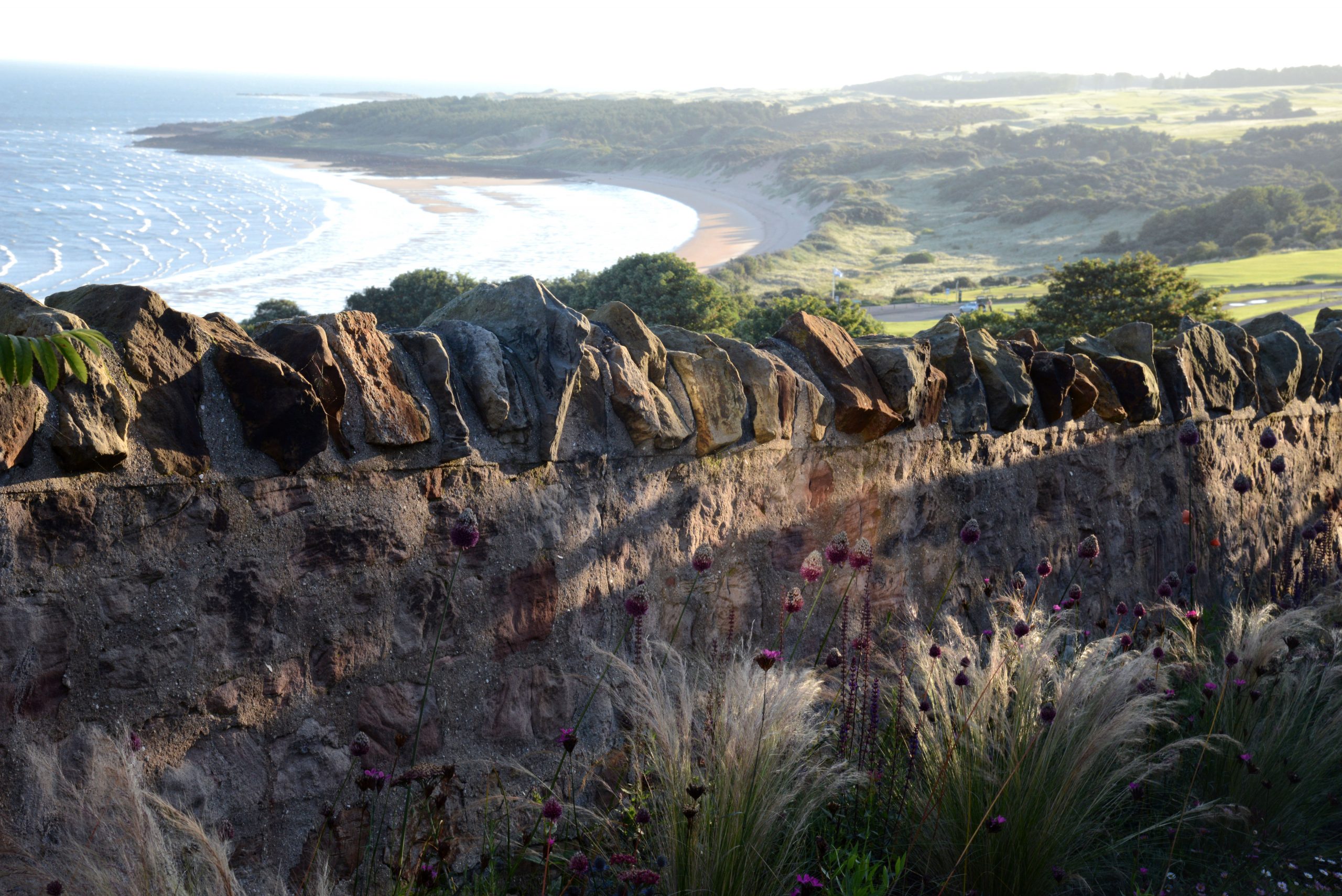 Featured image for “Seaside Garden East Lothian”