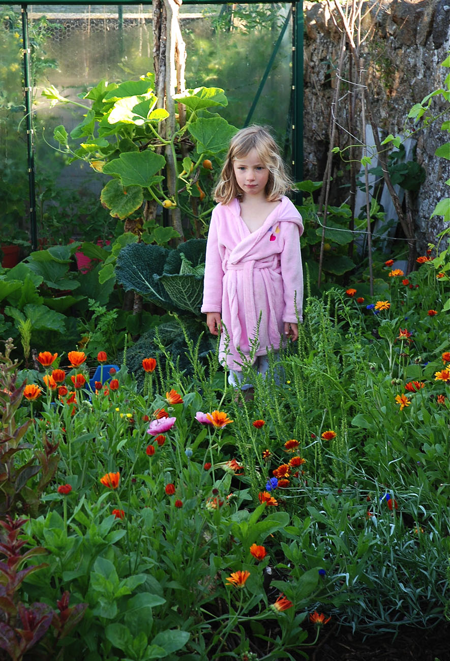 Family veg patch, young child with companion planting