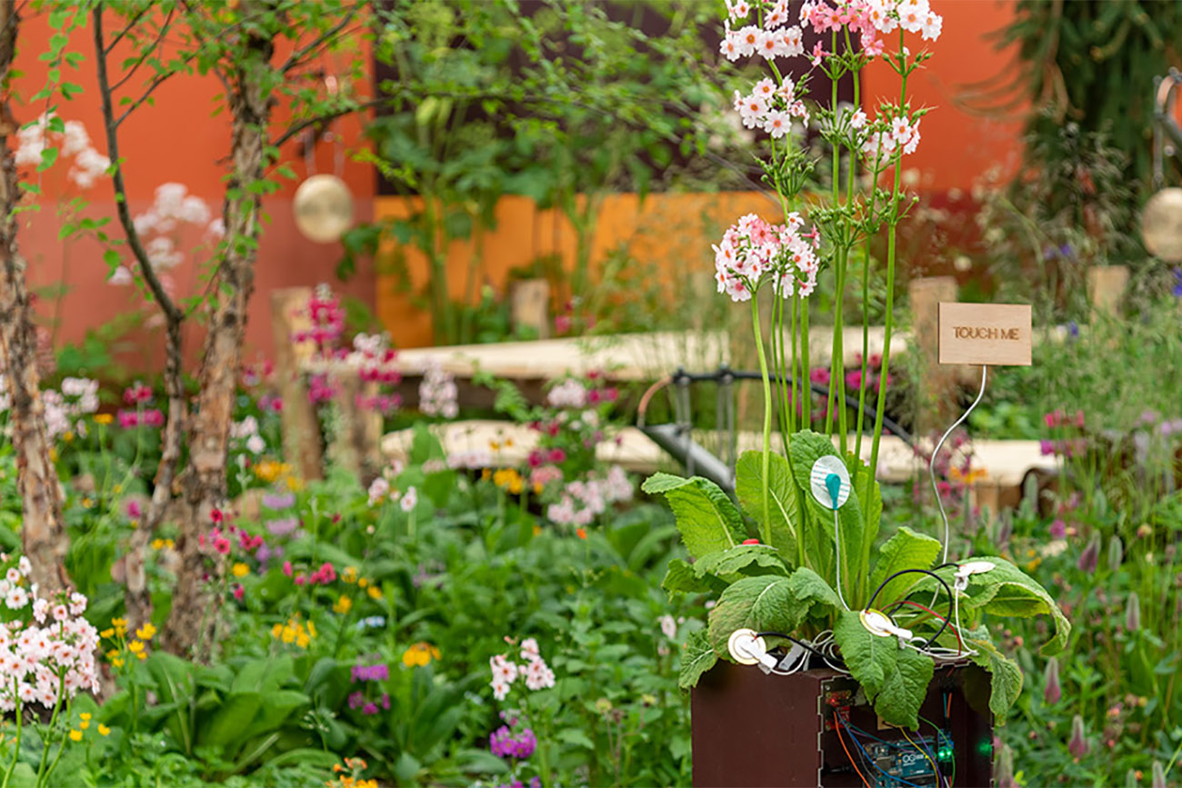 Interactive Soundscape, Semple Begg Garden Design Elsewhere Garden, RHS Chelsea Flower Show Garden
