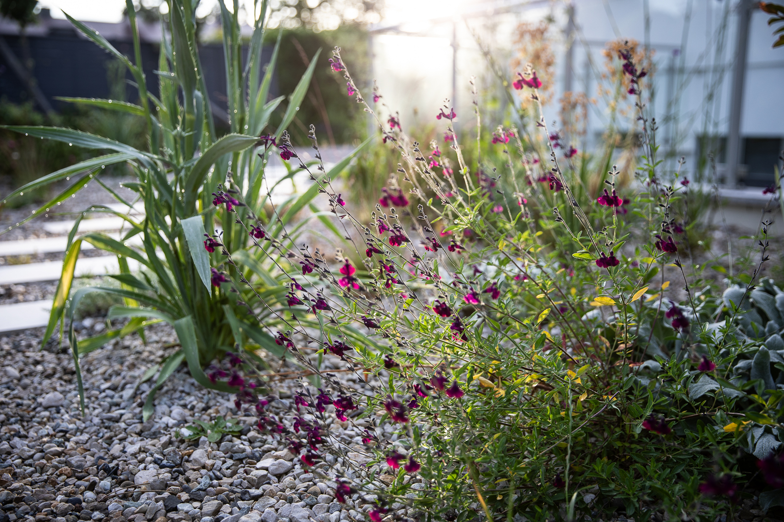 Featured image for “post six”